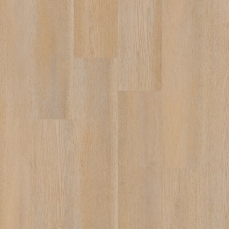 Lijmstrook Premier Serie 15080