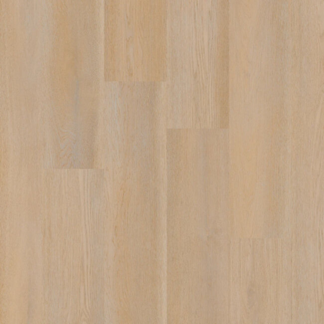 Click Premier Serie C15080