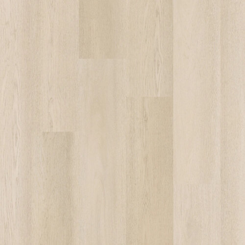 Therdex Click Premier Serie C15081