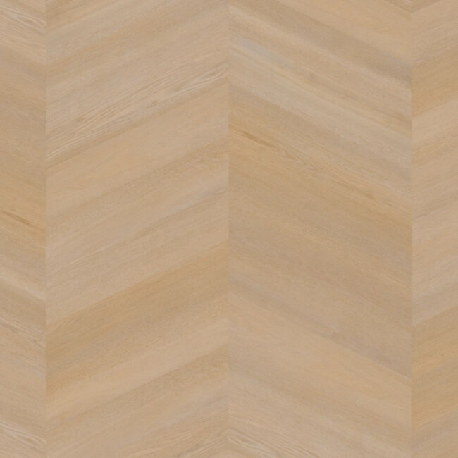 Click Hongaarse Punt Premier Serie C6580