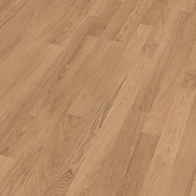 LC 55 Eik Natuur 06067