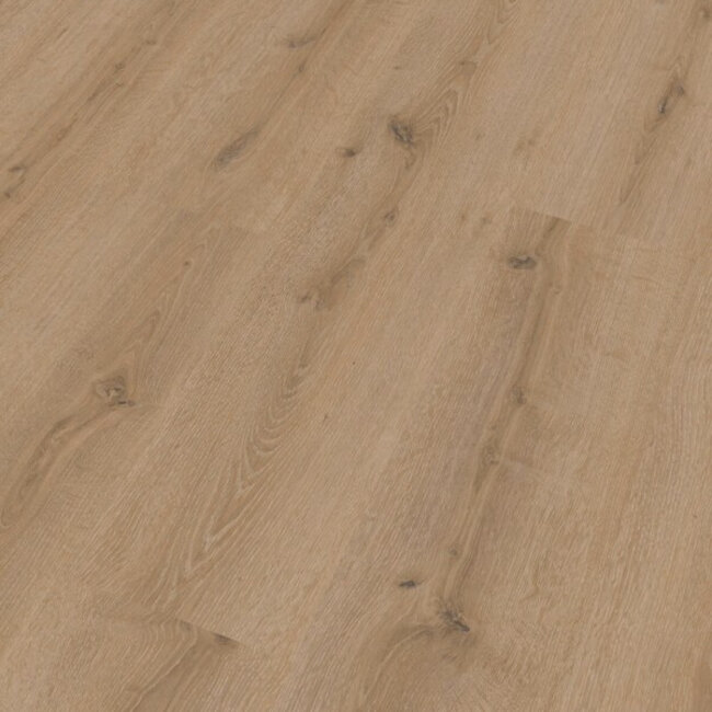 LC 150 Toreneik Creme 07120