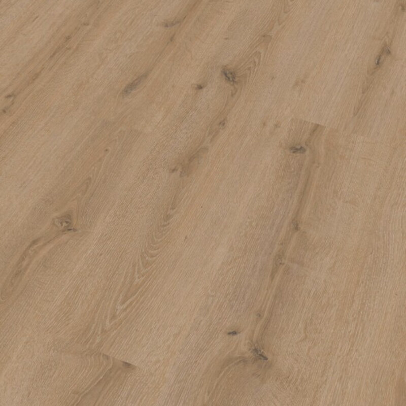 LC 150 Toreneik Creme 07120