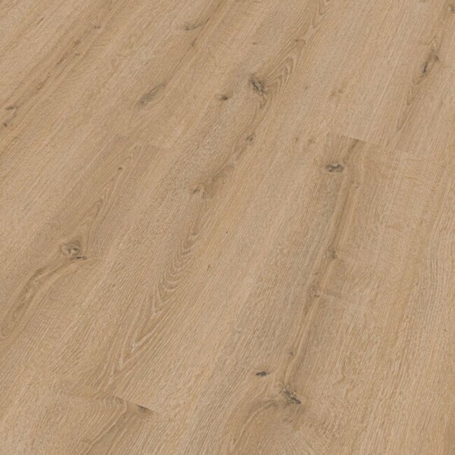 LC 150 Toreneik Licht 07141