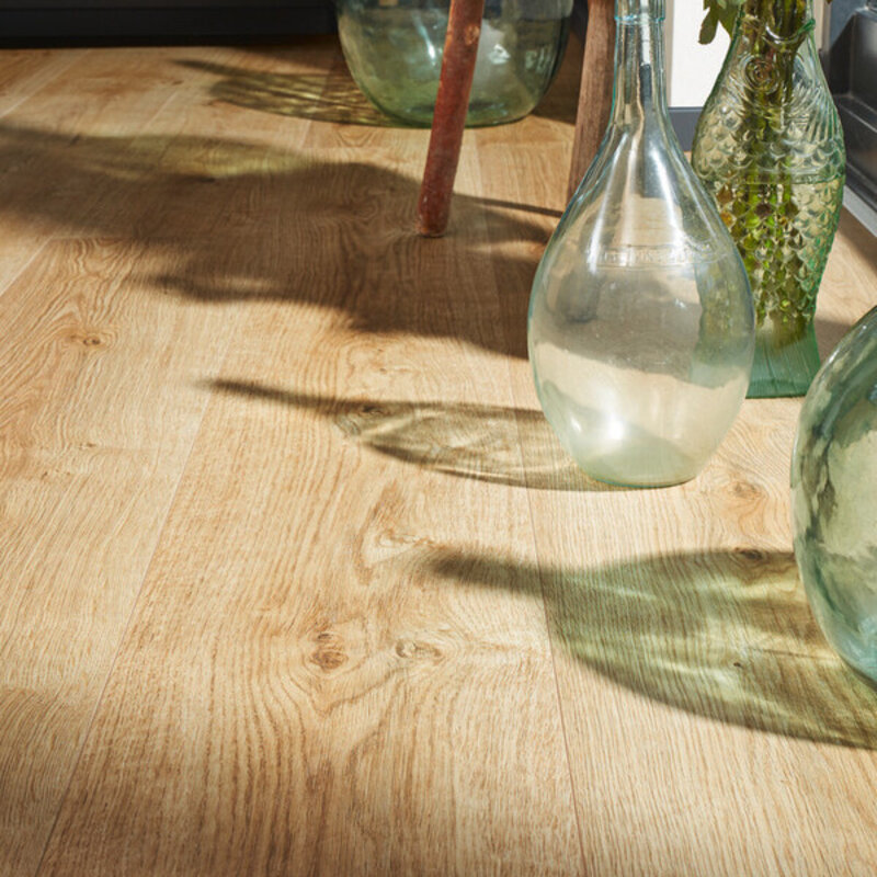 LL 250 Boeren Eik Natuur 06832