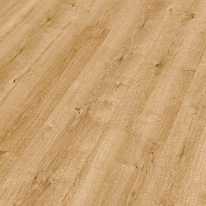 LL 250 Boeren Eik Natuur 06832