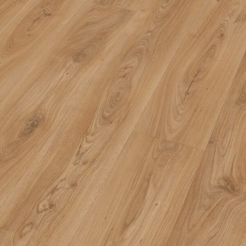 LL 250 Kasteel Eik natuur 06836