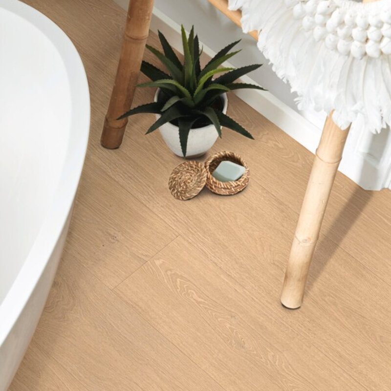 LL 250 Vallei Eik Licht 07144