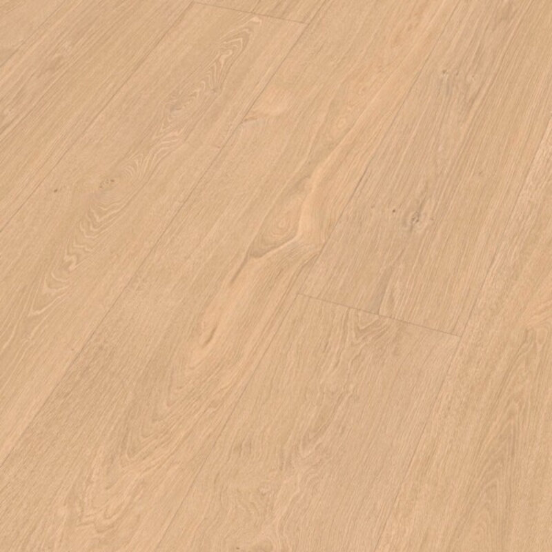 LL 250 Vallei Eik Licht 07144