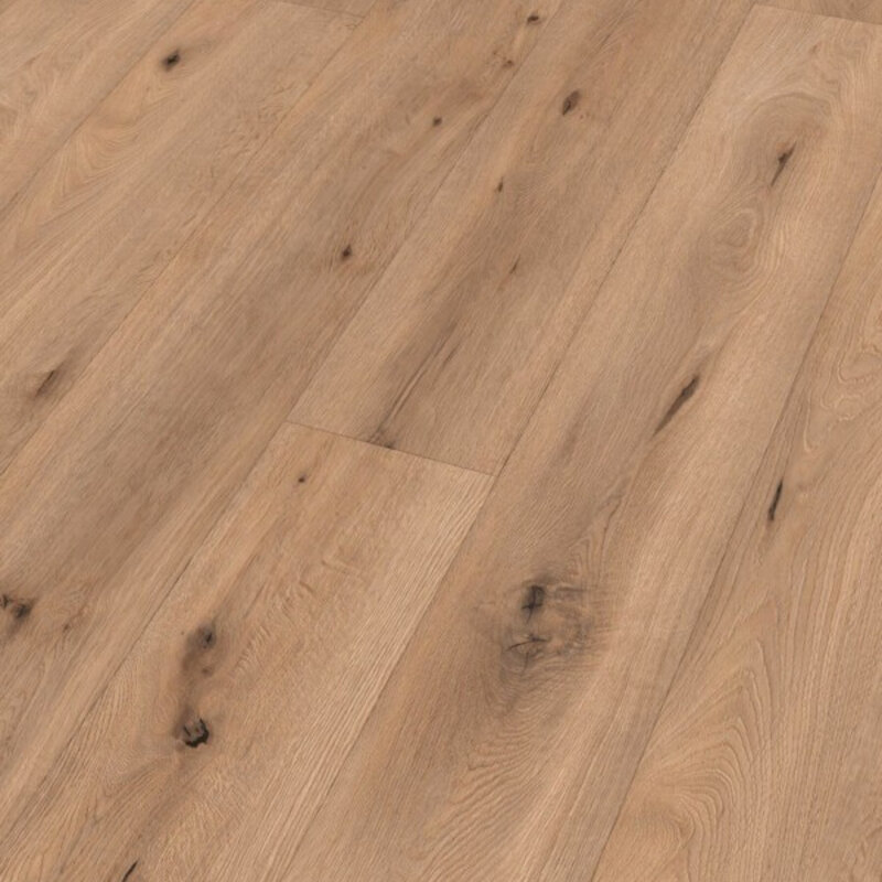 LL 150 Veld Eik Licht 06843