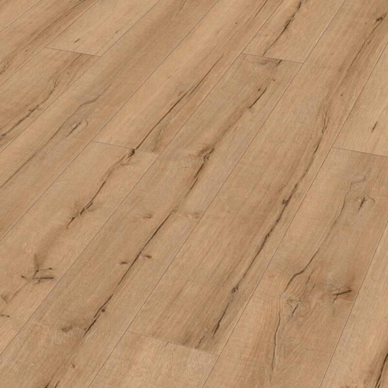 LL 150 Eik Oud Hout Natuur 07114