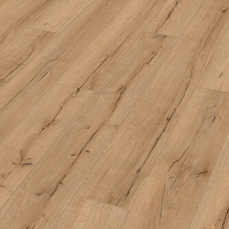 LL 150 S Eik Oud Hout Natuur 07114