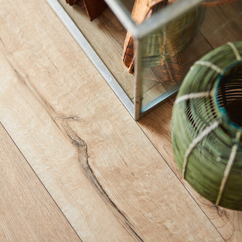 LD 55 Eik Bayfield 06679