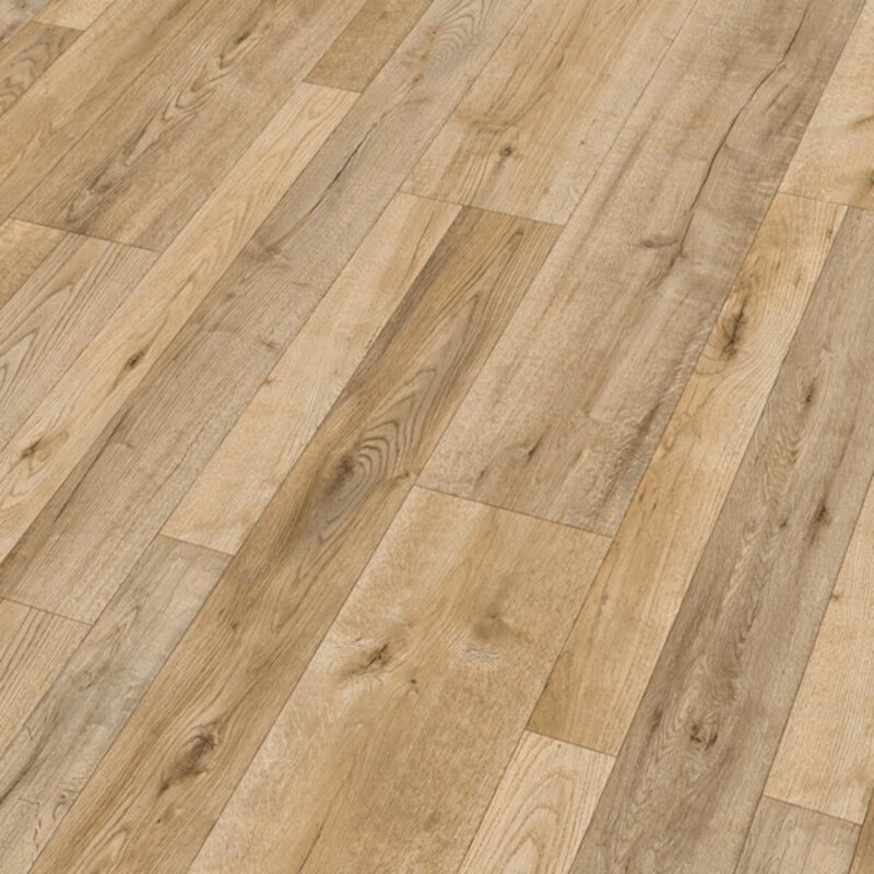 LD 55 Eik Bayfield 06679