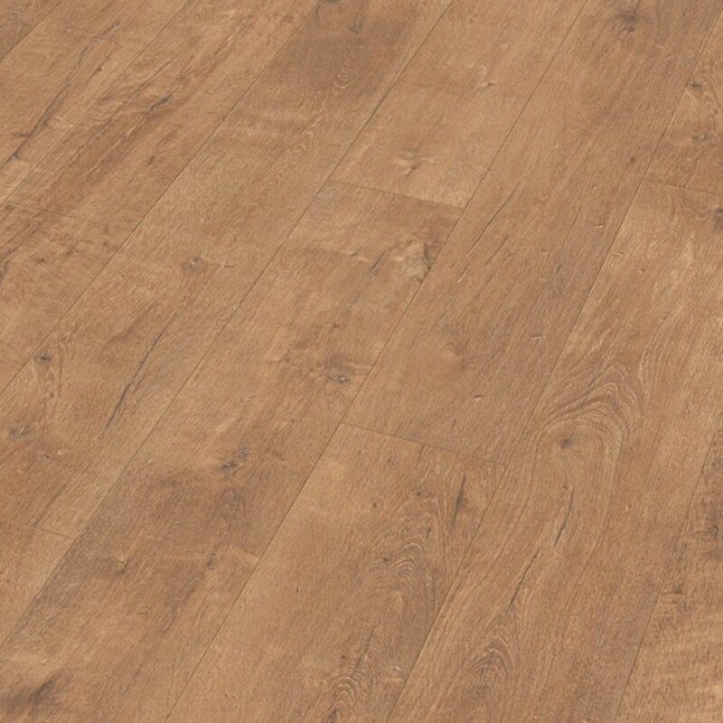 LD 55 Zomereik Natuur 06952