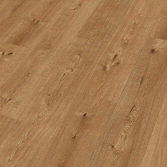 LD 55 Hill Oak 07153