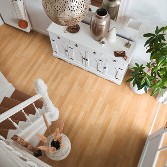 LC 55 S Esdoorn 00202