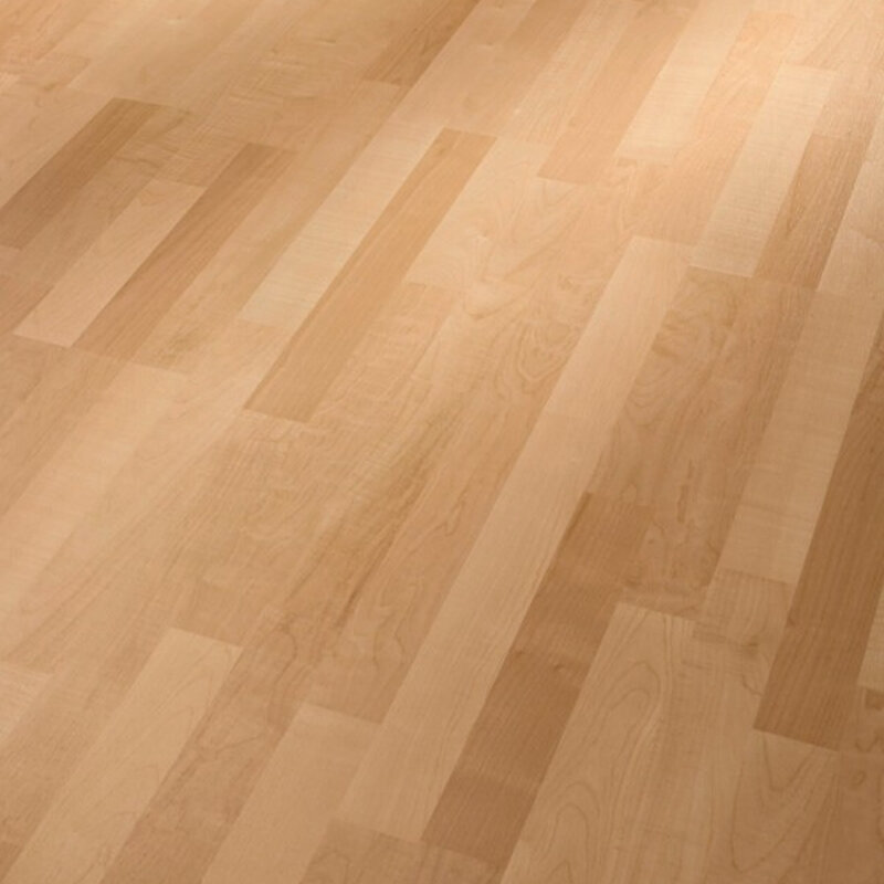 LC 55 S Esdoorn 00202