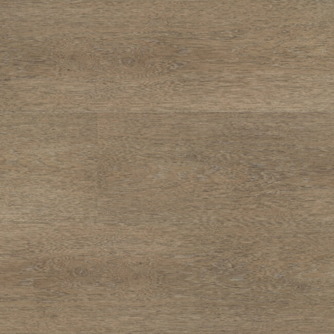 Lijmstrook Chapelle XL 54843