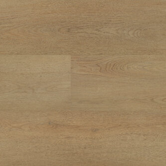 Lijmstrook Chablis XL 54854