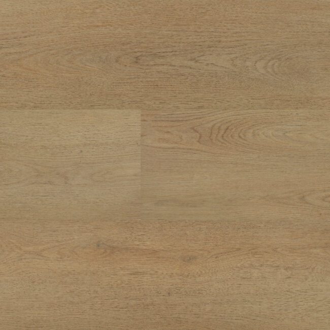 Lijmstrook Chablis XL 54854