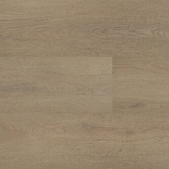 Lijmstrook Chablis XL 54855