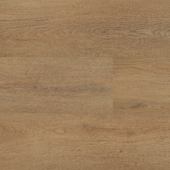 Lijmstrook Chablis XL 54857