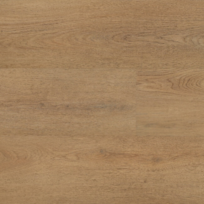 Lijmstrook Chablis XL 54858