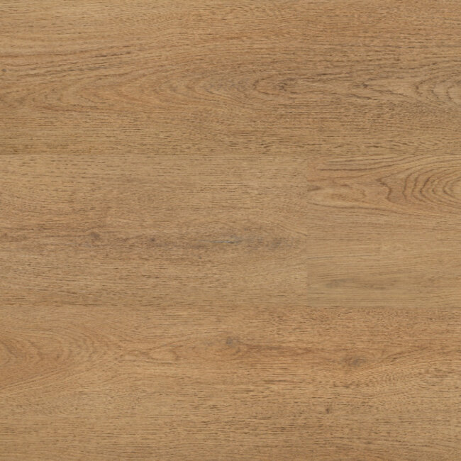 Lijmstrook Chablis XL 54859