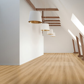 Lijmstrook Check Expert Tordera TR.CHECK-2509-E