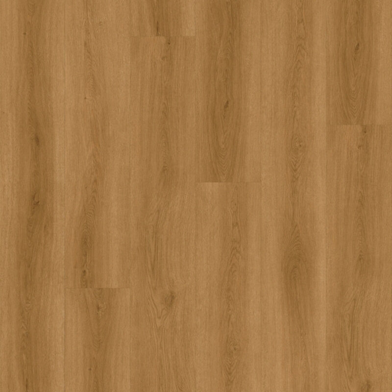 Lijmstrook Check Expert Albera TR.CHECK-2511-E