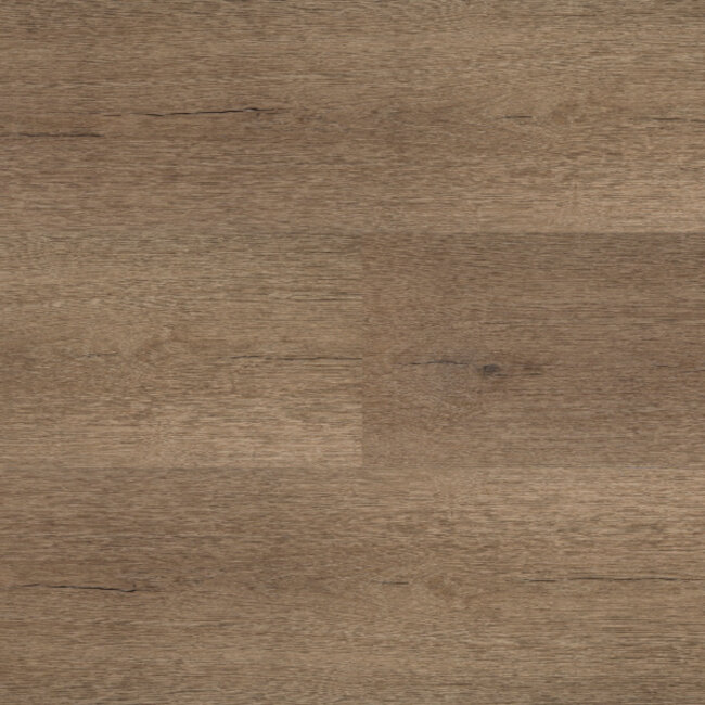 Lijmstrook Chateau XL 54850