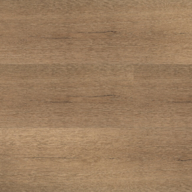 Lijmstrook Chateau XL 54852