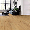 Lijmstrook Enia Tambora Oak Harmony TAM32000-100