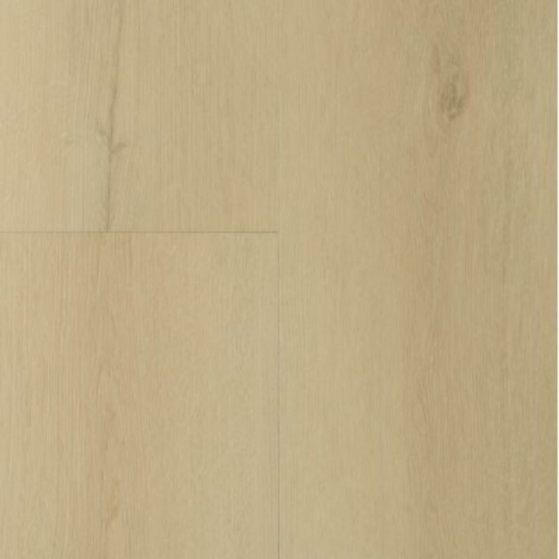 Lijmstrook Sierra Beige 2001