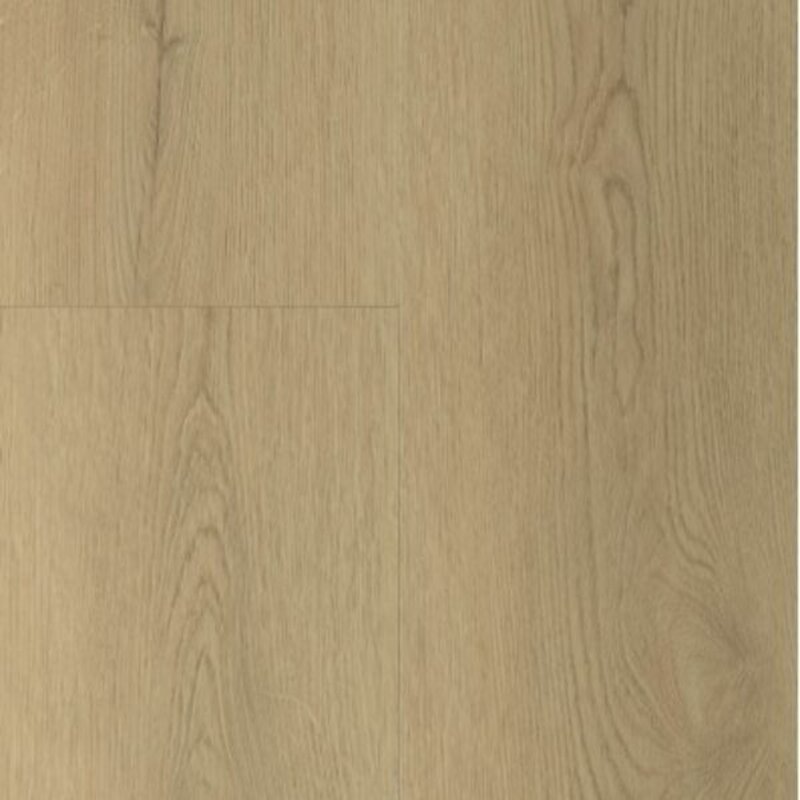 Lijmstrook Sierra Naturel 2003