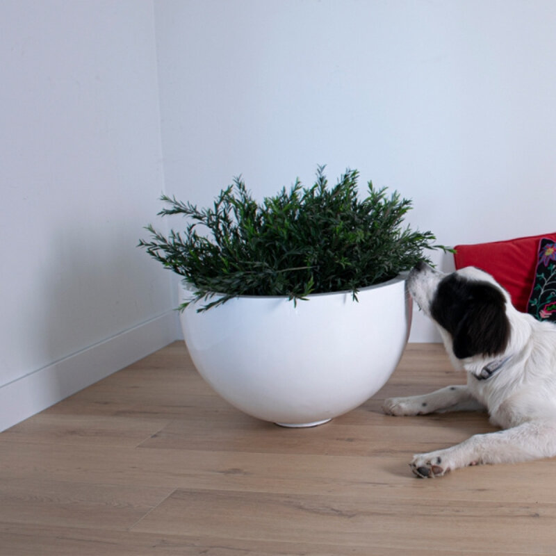 Click Grande Sinai TR.G.67329