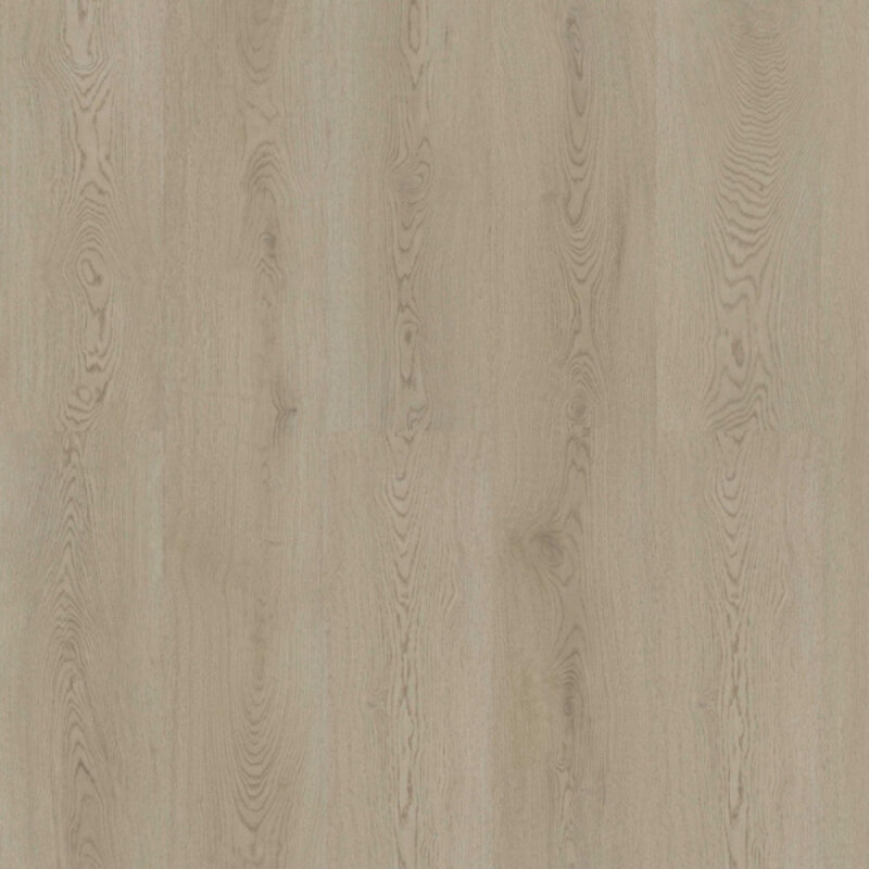 Click Check One Lehnsheide TR.CHECK-2480