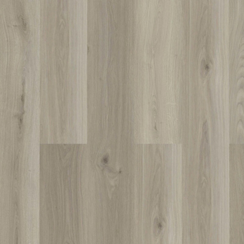 Click Check Premium Diesenfang TR.CHECK-2475