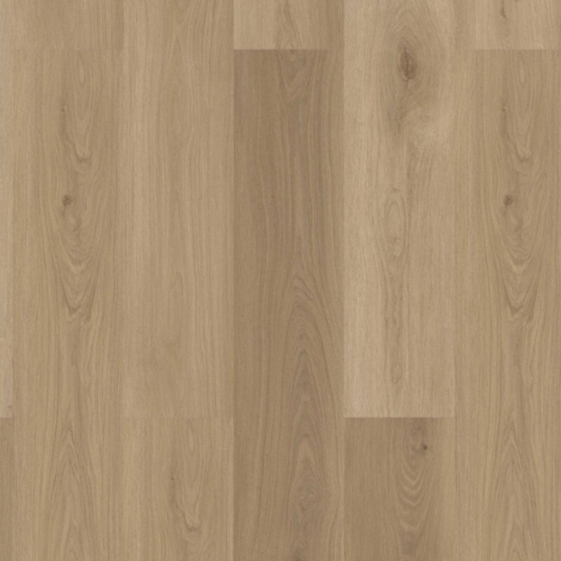 Click Check Premium Kammerbrühl TR.CHECK-2476