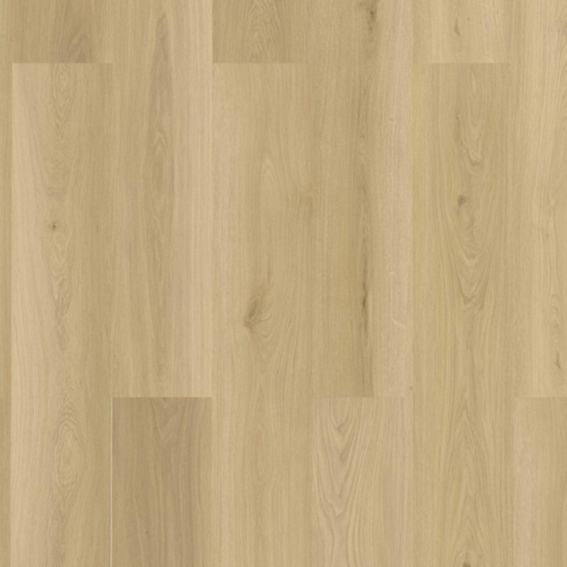 Click Check Premium Baienbach TR.CHECK-2477