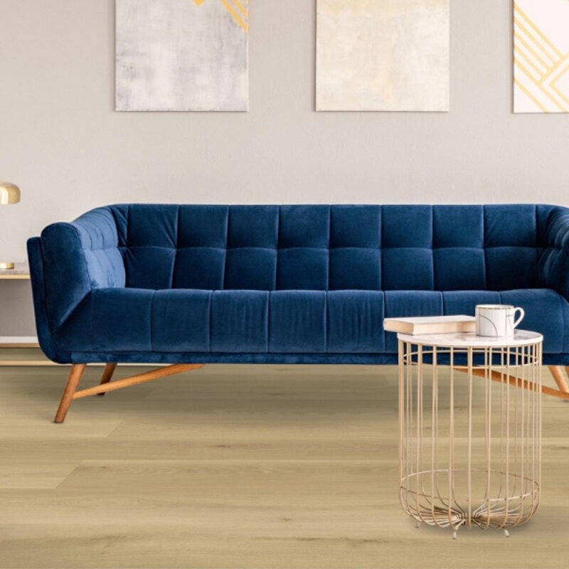 Click Check Premium Baienbach TR.CHECK-2477