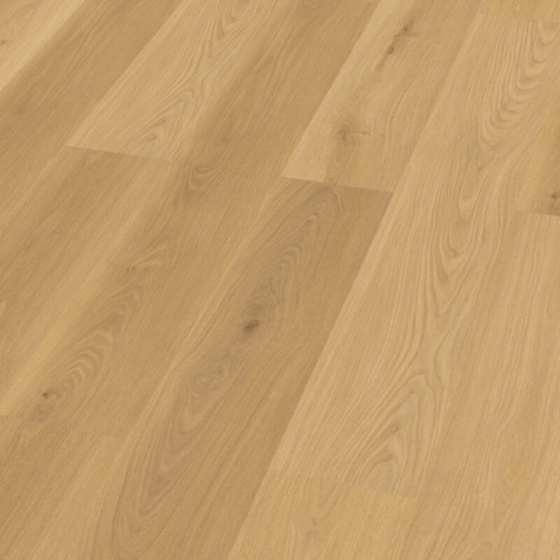 Click Check Premium Buchäcker TR.CHECK-2478