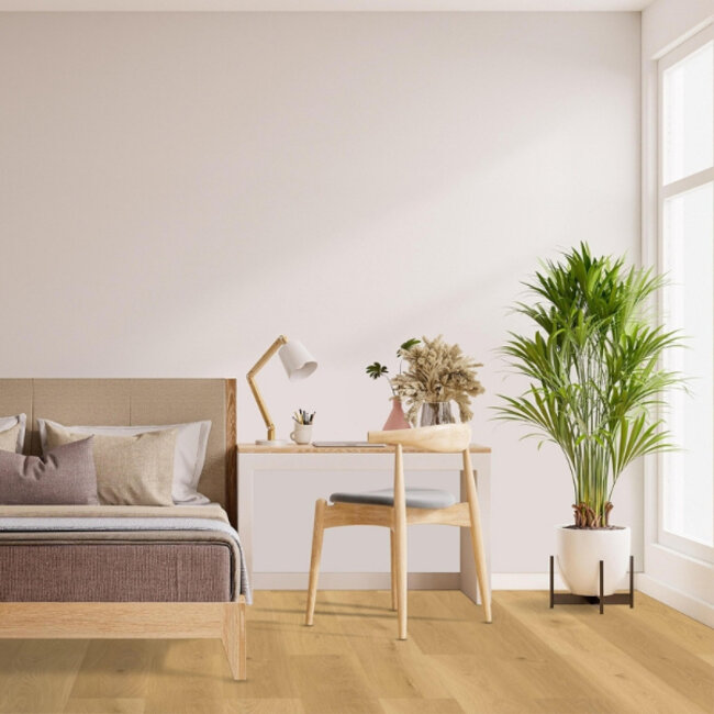 Click Check Premium Buchäcker TR.CHECK-2478