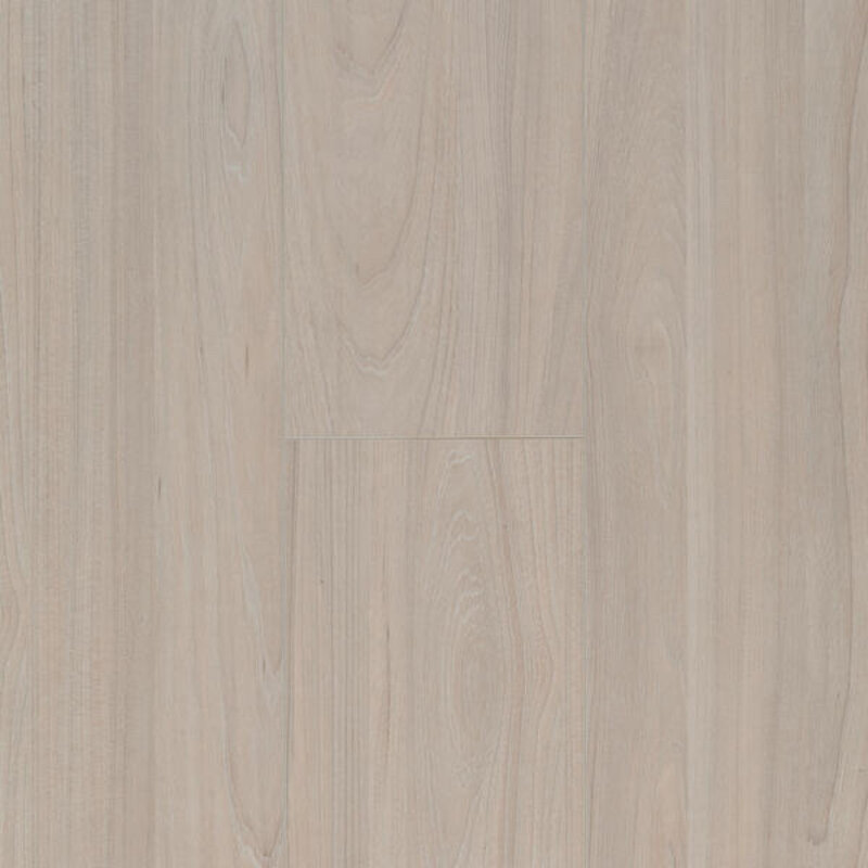 Ocean+ Elm Light 62003064