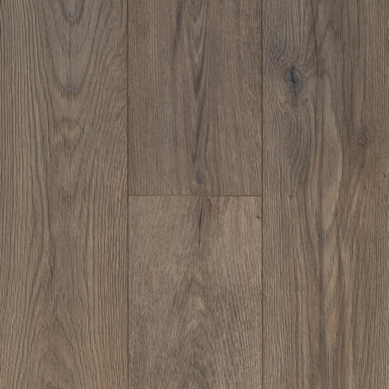 Ocean+ Epic Brown 62003067