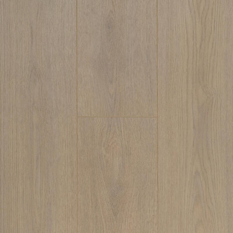 Connect  8  V4 Select Light Brown 62002316