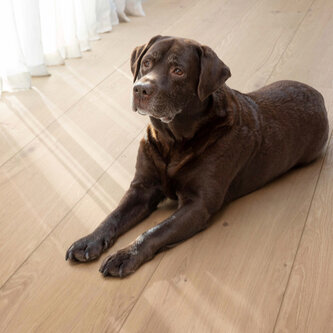 Click XL-End 2100 Kylemore 50 LVREXL 4355