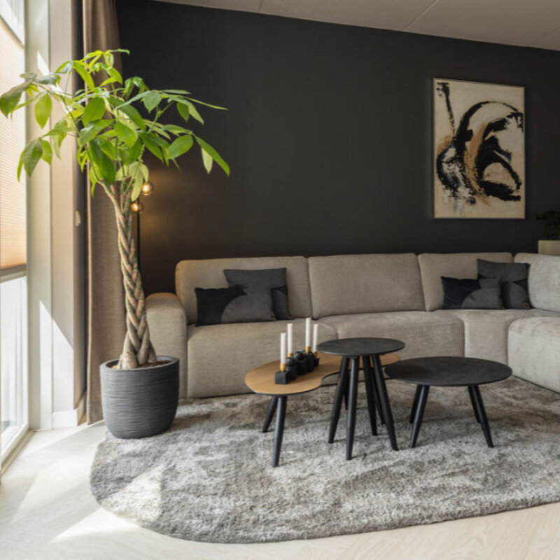 Click Visgraat Alpha Rigid Ciro Pure Eik Polair AVHBU40361