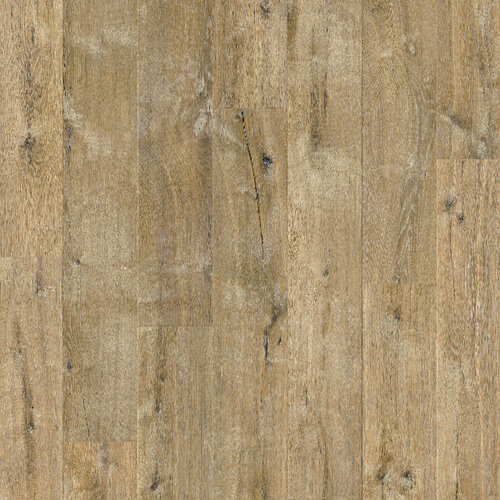 Quick-Step  Impressive Rogge Eik IM8257